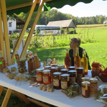 Mlinarjeva pot 14.09.2013 74